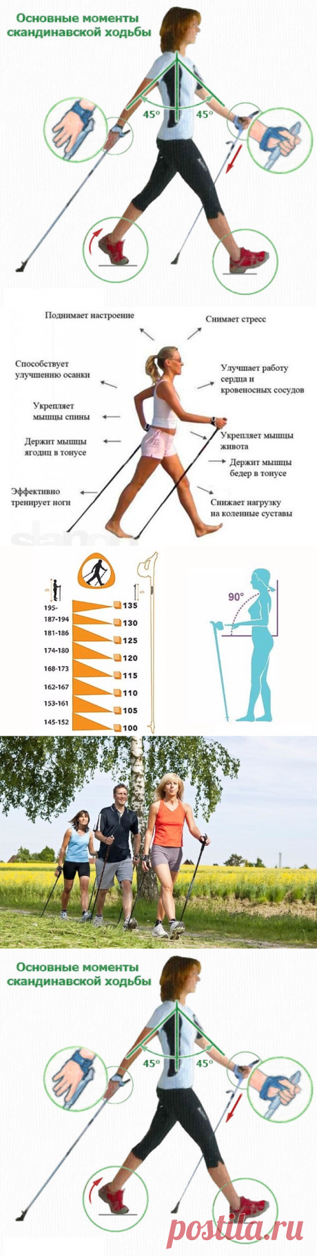 СКАНДИНАВСКАЯ ХОДЬБА