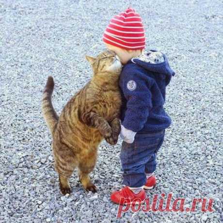 caturday | Tumblr