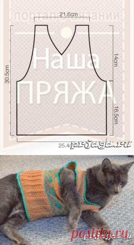 Кофточка для кошки спицами