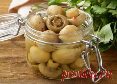 Маринованные грибы на зиму