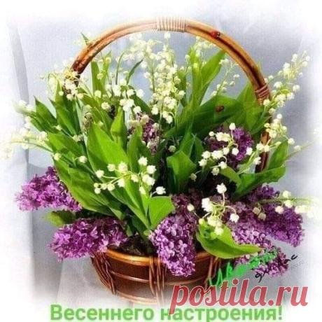 Люди меняются… Чувства теряются…
Маски снимаются. Взгляды меняются…
Что-то находится. Что-то теряется…
Время меняется… Переживается…
И забывается…Жизнь продолжается!..