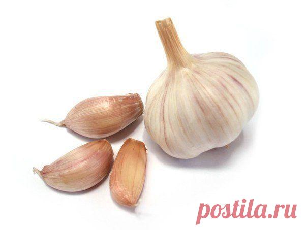 Интересные новости