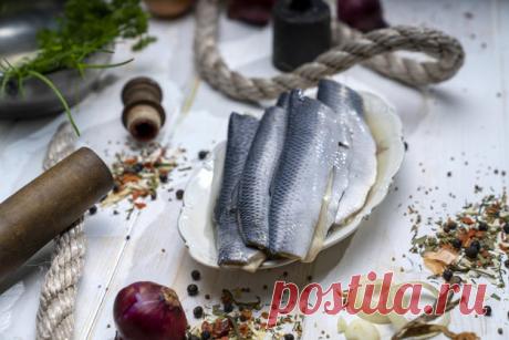 Отто фон Бисмарк на диете

Вы, конечно, удивлены, вероятно, никому непонятно, почему мы говорим о Бисмарке. Поверьте, неспроста!

Отто фон Бисмарк страдал от лишнего веса и был вынужден придерживаться диеты