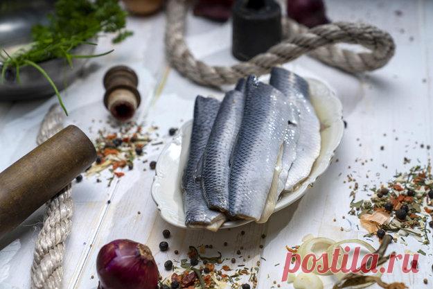 Отто фон Бисмарк на диете

Вы, конечно, удивлены, вероятно, никому непонятно, почему мы говорим о Бисмарке. Поверьте, неспроста!

Отто фон Бисмарк страдал от лишнего веса и был вынужден придерживаться диеты