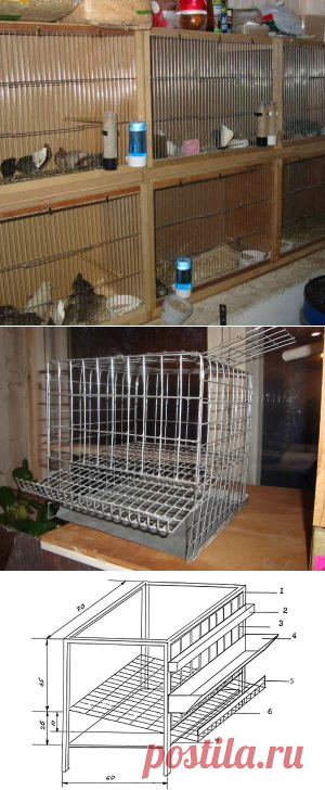 Изготовление клеток для перепелов своими руками: чертежи, пошаговая инструкция
