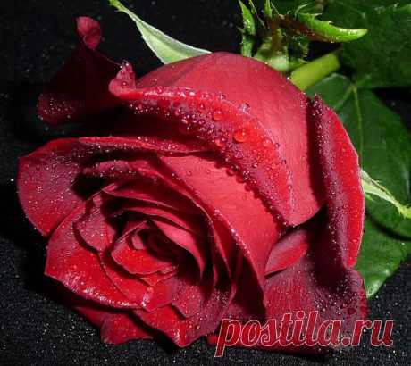 ᴼᴿᴵᴳᴵᴺᴬᴸ   SМАЙЛИКИ   (ړײ)
NINO- NINO