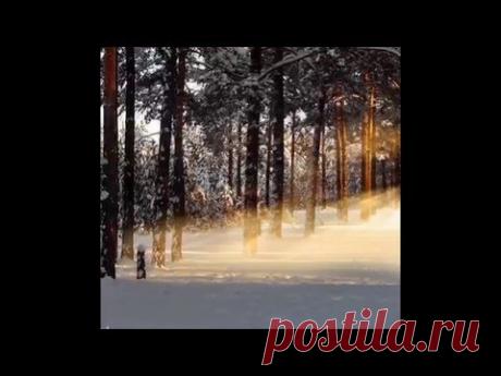 San Chad Art * 聖乍得藝術 * Album 7