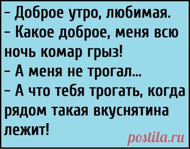15+ жизненных анекдотов для отличного настроения