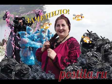 ЗАЧЕПИЛО| АРТУР ПИРОЖКОВ-ЗАЦЕПИЛА (пародія)| БАБА ДОЦЬКА
