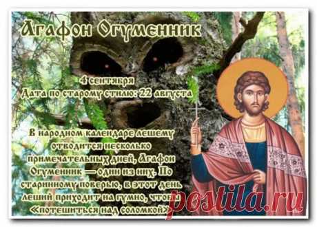 4 сентября солнечный день выдался – хорошая погода продержится еще 4 недели