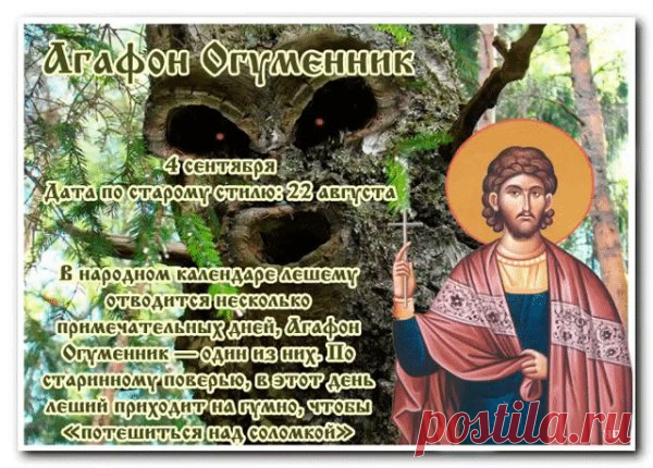 4 сентября солнечный день выдался – хорошая погода продержится еще 4 недели