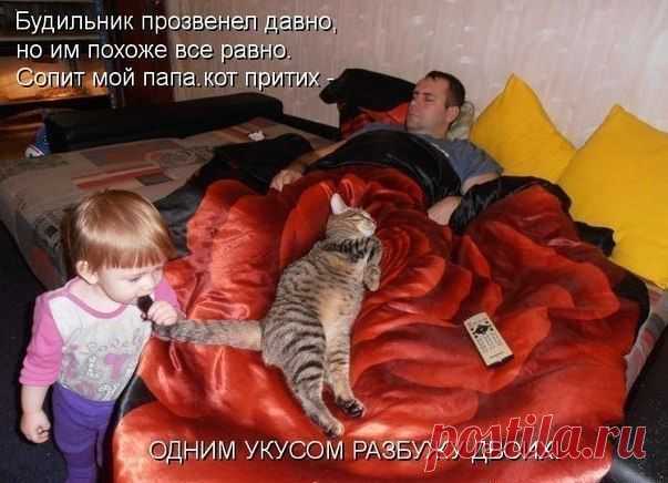 «Планета Земля - чудо Вселенной!»