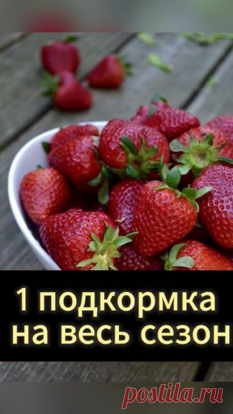 🍓 Добро пожаловать на наш канал! В этом видео мы поделимся с вами уникальным методом подкормки клубники, который гарантирует сбор вкусных, сладких и крупных...