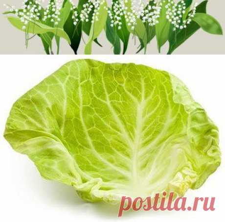 Вам сообщение!