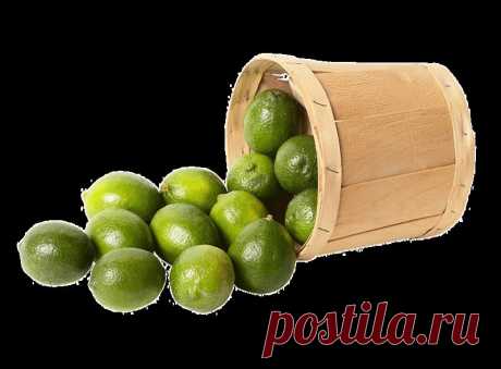 клипарт «дары природы