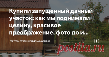 Купили запущенный дачный участок: как мы поднимали целину, красивое преображение, фото до и после Добрый день, дорогие мои подписчики! В истории и публикациях про нашу дачу мы добрались до самого интересного. При любой возможности я упоминаю, что участок был в ужасном заброшенном состоянии и купили мы его по трем причинам: Если вы пропустили публикации про преображение домика, то переходите по ссылке в закрепленное "Дачные будни". В этой подборке я сохраняю все публикации ...