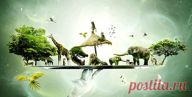 Очистка головы от "грязи"