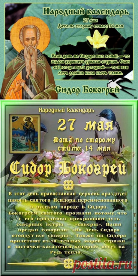 Картинки Сидор Бокогрей   27 мая 25 фото