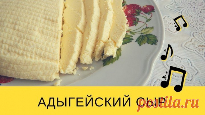 Как сделать адыгейский сыр в домашних условиях