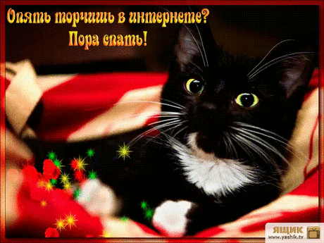 Картинки «Пора спать!» (32 фото) ⭐ Забавник