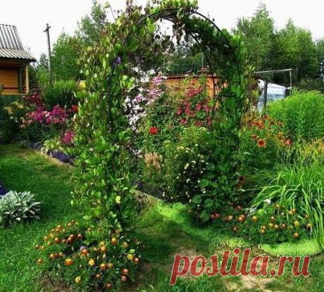 ХОТИТЕ НАРЯДИТЬ САД ОГРОМНЫМИ КОЛОКОЛЬЧИКАМИ – ПРИГЛАСИТЕ В НЕГО КОБЕЮ