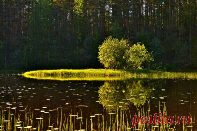Из альбома "Отражение"
