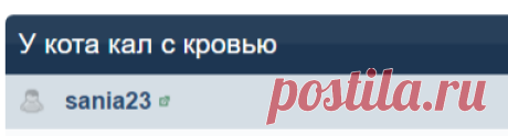 У кота кал с кровью - ZooForum