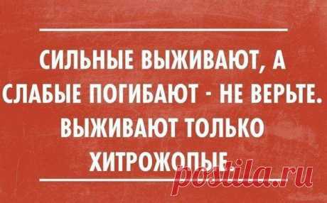 Правдивые открытки / Приколы