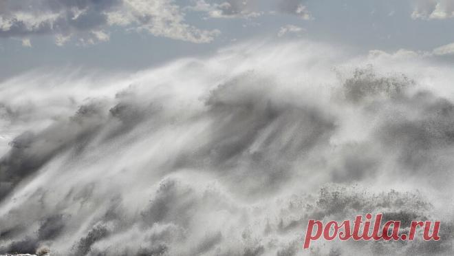 Африканский "Ной" строит 8 ковчегов, готовясь спасти людей от потопа через 2 недели. Житель Ганы Эбо Хесус набирает популярность в социальных сетях благодаря видео, в которых он строит восемь деревянных ковчегов. Мужчина утверждает, что завершит их до 25 декабря 2025 года — даты, когда, по его словам, начнется ...