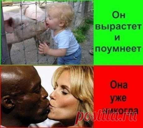 Бабья тупость убивает генофонд