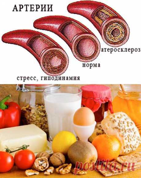 Продукты, разжижающие и сгущающие кровь: список и рекомендации