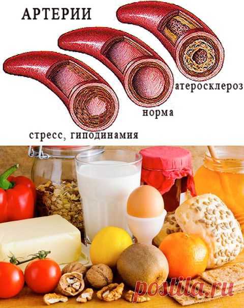Продукты, разжижающие и сгущающие кровь: список и рекомендации