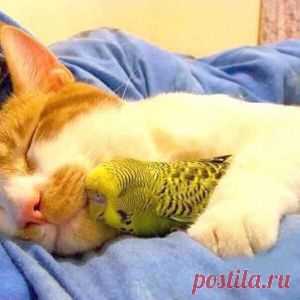 Редкие кадры