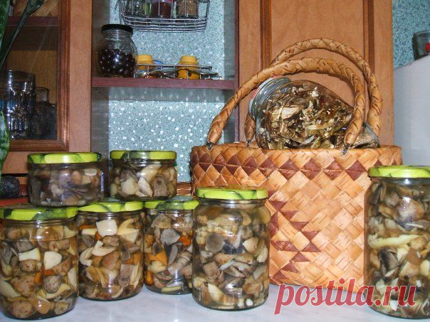 Как правильно солить, сушить и мариновать грибы?