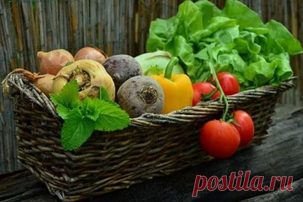 Продукты с витамином С запускают выработку коллагена Многие косметические средства содержат коллаген, который, как мы все знаем, помогает нам сохранить молодость. Этого эффекта можно добиться и другими способами. Об этом стало известно Сергею Вялову.Эксперты считают, что для выработки коллагена полезны продукты с витамином С. Предлагается...