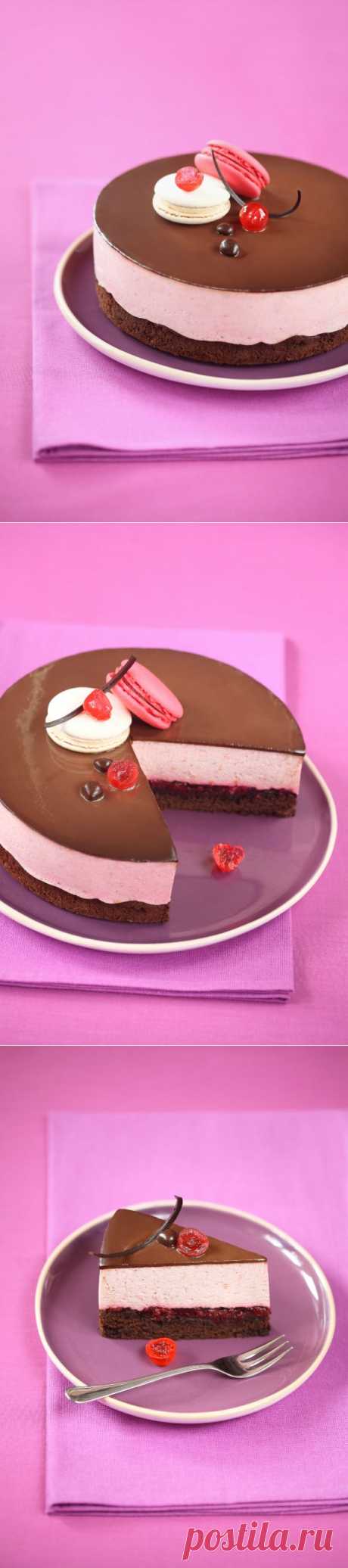 Verdade de sabor: Шоколадно-вишнёвый торт-мусс / Torta mousse de chocolate e cereja