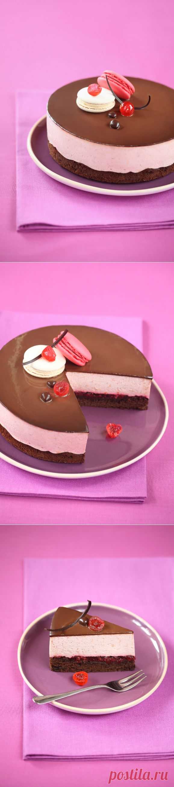 Verdade de sabor: Шоколадно-вишнёвый торт-мусс / Torta mousse de chocolate e cereja