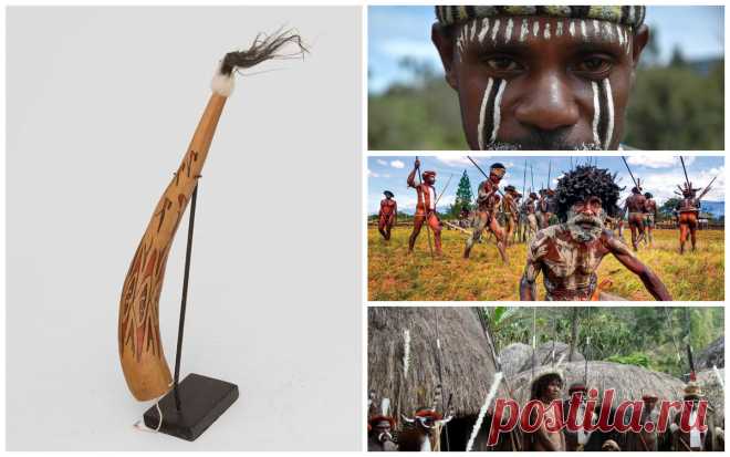 🎁 Котека. Рассказываю зачем папуасам "чехол для достоинства" | 🎁 СУПЕР ПОДАРОК 🎁 | Яндекс Дзен