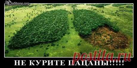 Демотиваторы в контакте, на стену граффити картинки дэмы, со смыслом, про любовь, прикольные, смешные, скачать вконтакте