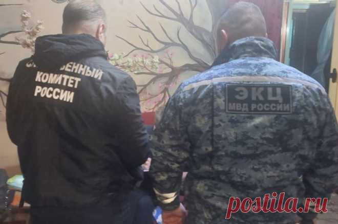 Мужчина в Ленобласти признался в убийстве и расчленении собственного сына. Тело убитого обнаружили в реке Перовка.