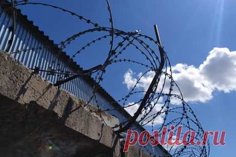Пытавшегося взорвать газопровод российского диверсанта отправили в СИЗО. В Крыму 42-летнего безработного россиянина арестовали за попытку взорвать газопровод. Поздно ночью 23 июня диверсант приехал из поселка Гаспра в поселок Кореиз и попытался подорвать газопровод на Родниковой улице. В результате возникло возгорание, 500 человек временно остались без газа.