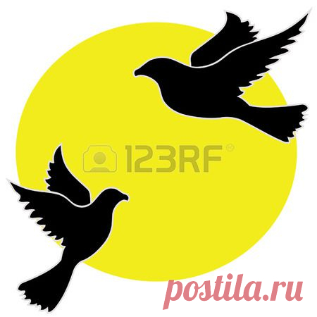 дикий голубь Клипарты, векторы, и Набор Иллюстраций Без Оплаты Отчислений. Pic 29033059.