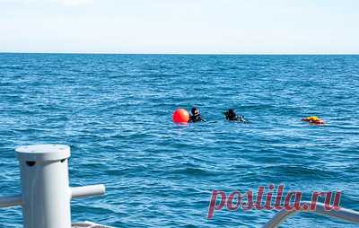 Военные США обнаружили в обломках сбитого аэростата КНР датчики и электронику. Телеканал ABC сообщил, что на аэростате было техническое оборудование и антенны, длина груза составляла около 9 м