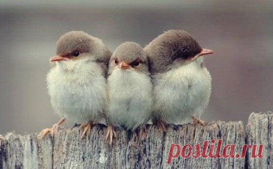 3 вида дружбы, согласно Аристотелю
Аристотель всегда придавал особое значение дружбe. Он пишет о ней как о ценном достоянии и пути к хорошей жизни. Он считал,что в жизни человек сталкивается с тремя различными типами дружбы. Только одна из них может стать действительно настоящей, удивительной и бескорыстной. Как известно, Аристотель был настоящим эрудитом. Его знания, а точнее сказать, огромное любопытство, помогло […]
Читай пост далее на сайте. Жми ⏫ссылку выше