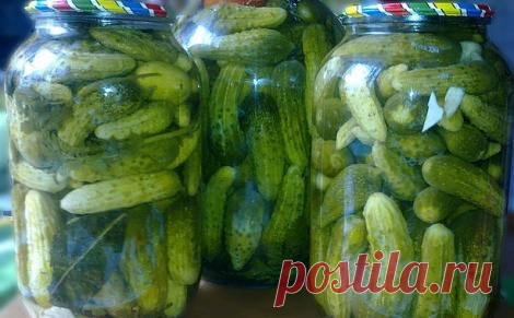 Рецепт вкусных огурчиков на зиму.Замочить вводе на 2-3 часа, уложить в банку, для улучшения вкуса добавляю 2-3 помидорки. Специи: те же, что и в помидоры кладу. Заливаю кипятком настаиваю 20 минут, воду сливаю, заливаю второй раз, положив предварительно в 3-х литровую банку 2 спичечных коробка соли и 2 коробка сахарного песка, 2 таблетки аспирина, перед закрытием крышкой 1 чайную ложку уксуса и под "одеяло" на 4-5 часов.