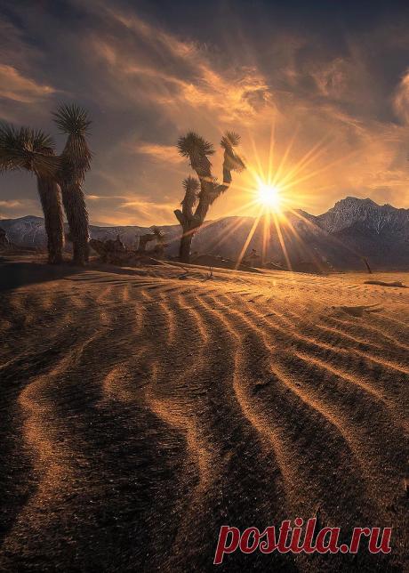 coiour-my-world:
“The Coming Sands ~ Marc Adamus
”