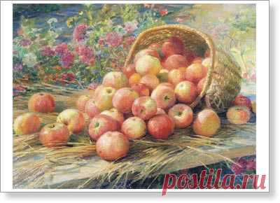 Сычков Федот. Алма-атинские яблоки. Репродукция A3