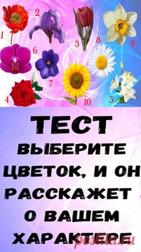 Выберите цветок, который вам больше всего нравится, затем прочитайте краткое описание, вы удивитесь, как много он может рассказать о вас