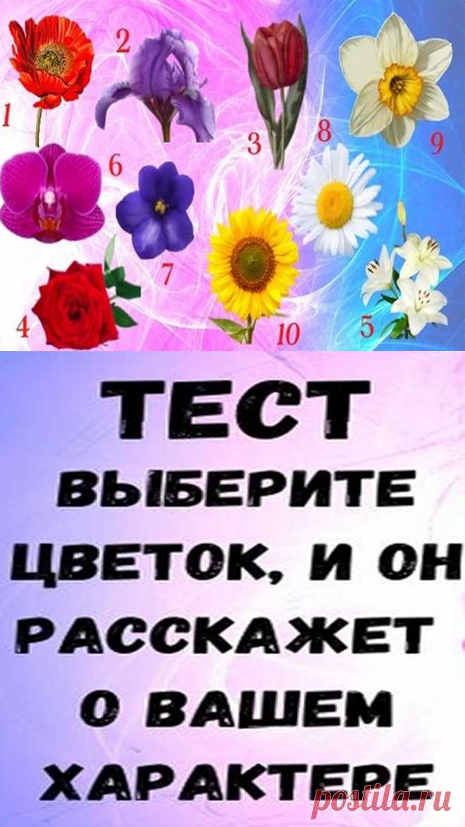 Выберите цветок, который вам больше всего нравится, затем прочитайте краткое описание, вы удивитесь, как много он может рассказать о вас