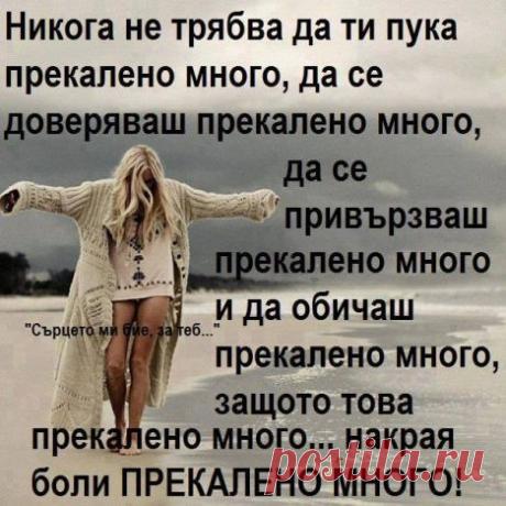 Nadya Mitkova - Pal.bg